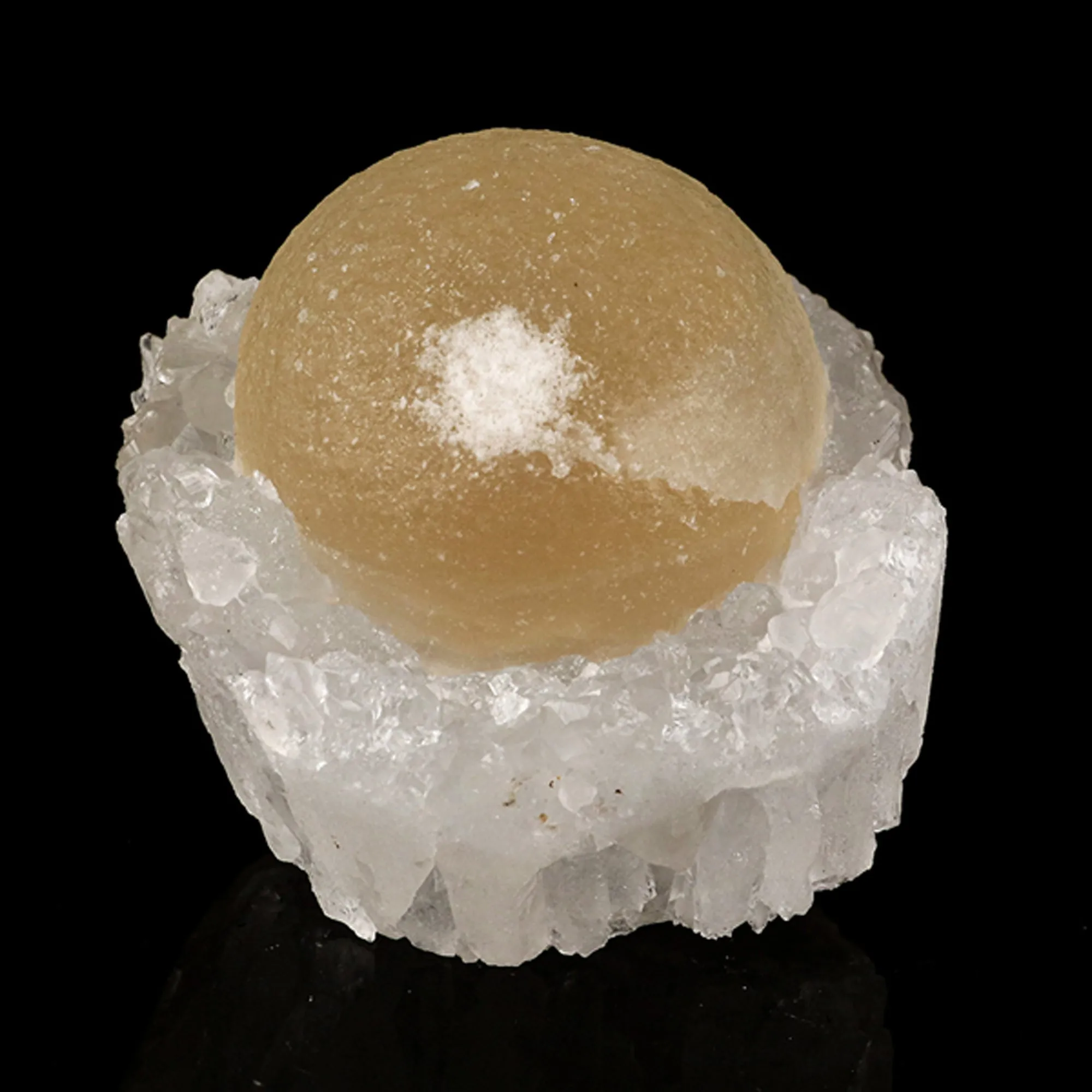 Fluorite on MM Quartz geode Natural Mineral Specimen - image 5