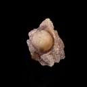 Fluorite on MM Quartz Natural Mineral Specimen - image 3