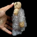 Fluorite on MM Quartz Plate Natural Mineral Specimen - image 4