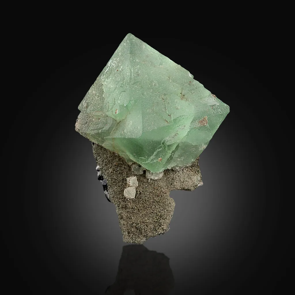 Fluorite on Muscovite image