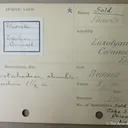 Fluorite on Muscovite - image 4