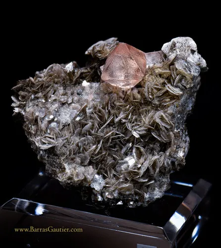 Fluorite on Muscovite image