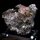 Fluorite on Muscovite - image 1