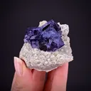 Fluorite on Muscovite - image 1