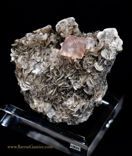 Fluorite on Muscovite - image 3