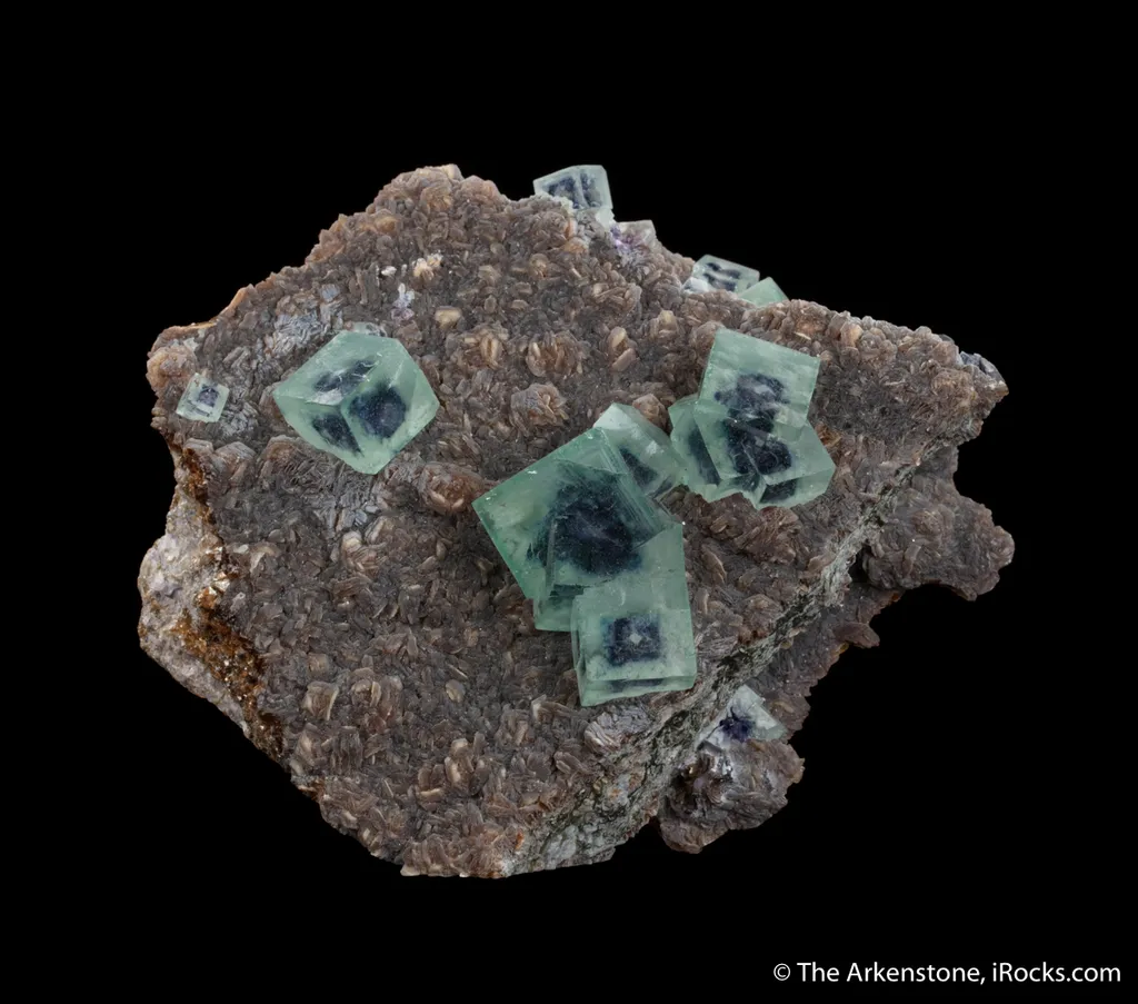 Fluorite on Muscovite image