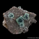 Fluorite on Muscovite - image 1