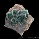 Fluorite on Muscovite - image 2