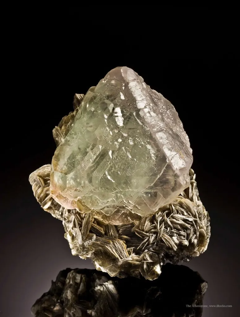 Fluorite on Muscovite image