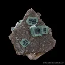 Fluorite on Muscovite - image 2