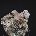 specimen video