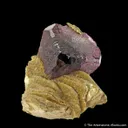 Fluorite on Muscovite - image 1