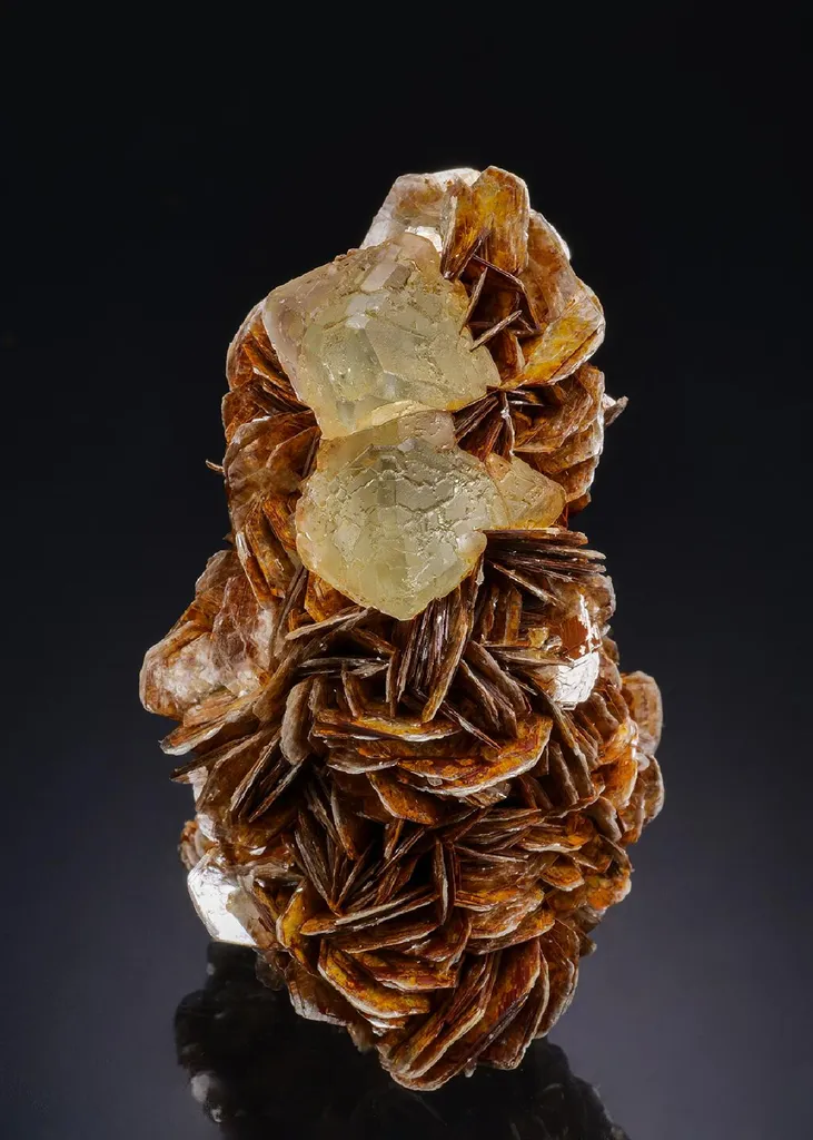 Fluorite on Muscovite image