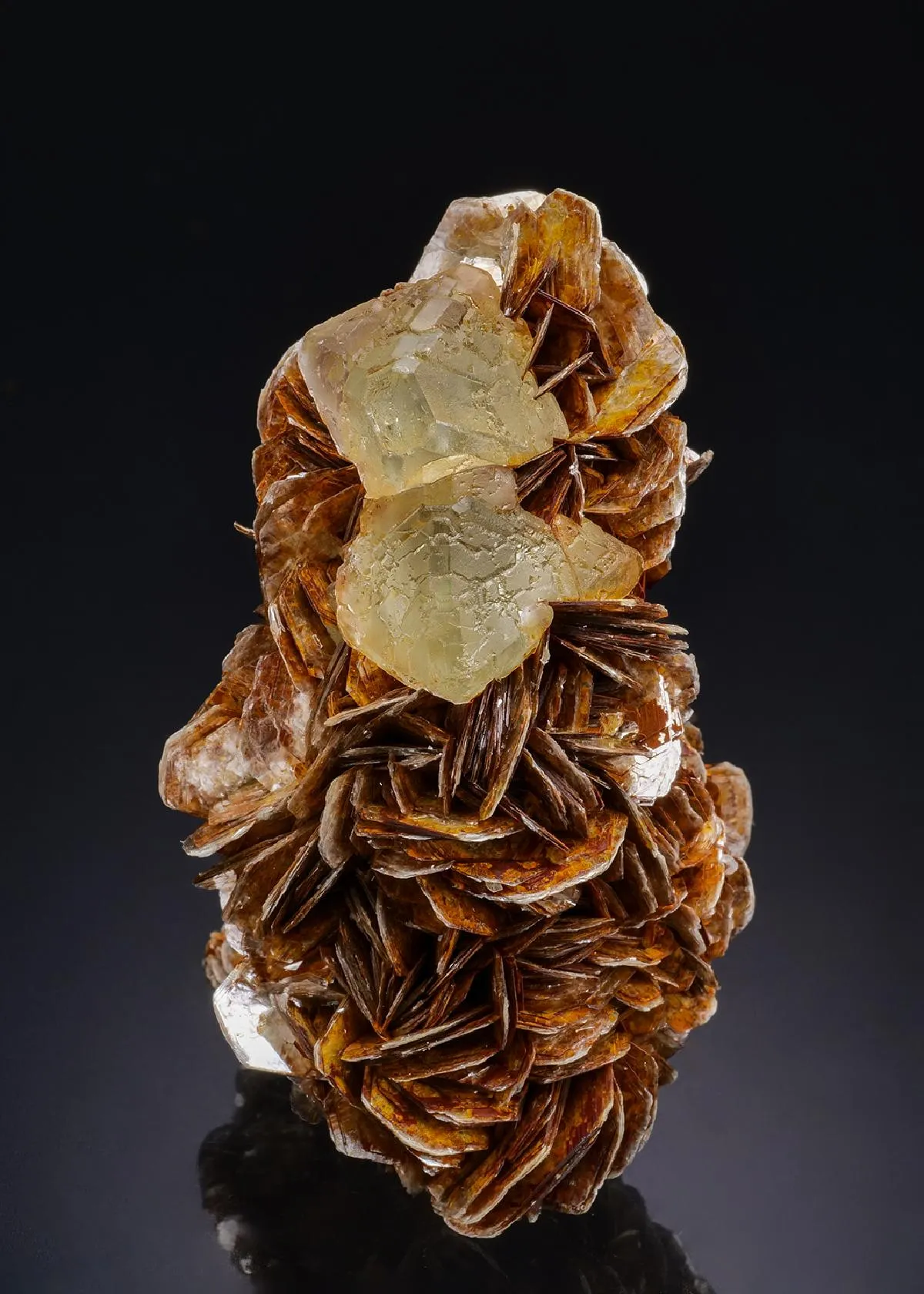 Fluorite on Muscovite - image 1