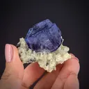 Fluorite on Muscovite - image 2