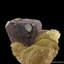 Fluorite on Muscovite - image 3