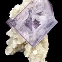 Fluorite on Muscovite - image 2