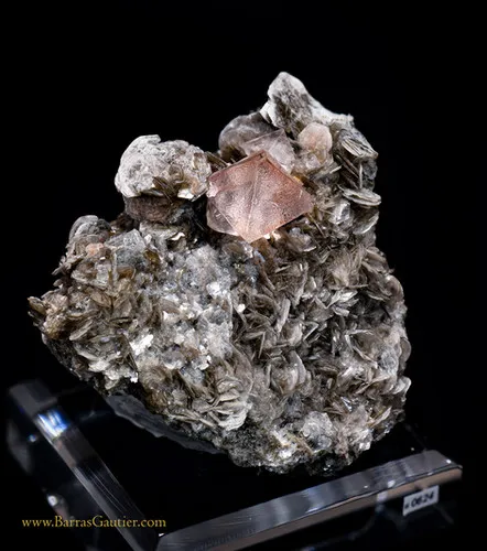 Fluorite on Muscovite - image 2