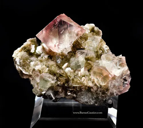 Fluorite on Muscovite image
