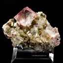 Fluorite on Muscovite - image 1