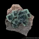 Fluorite on Muscovite - image 1