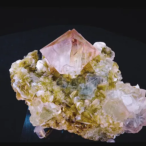 specimen video