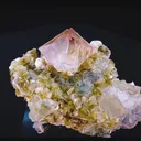 specimen video