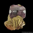 Fluorite on Muscovite - image 2