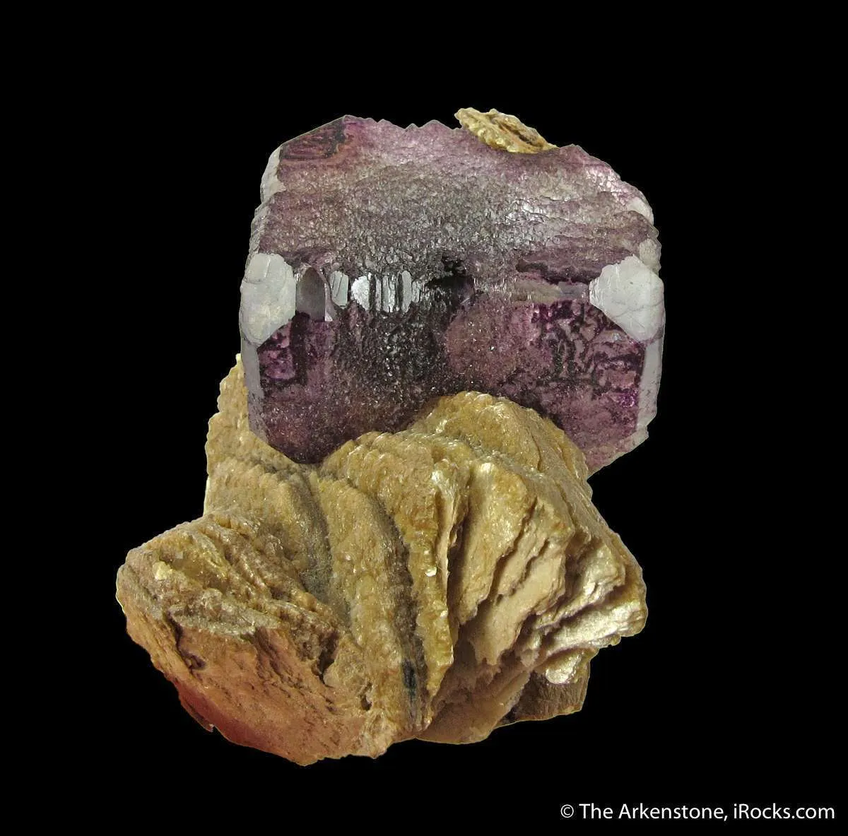 Fluorite on Muscovite - image 2