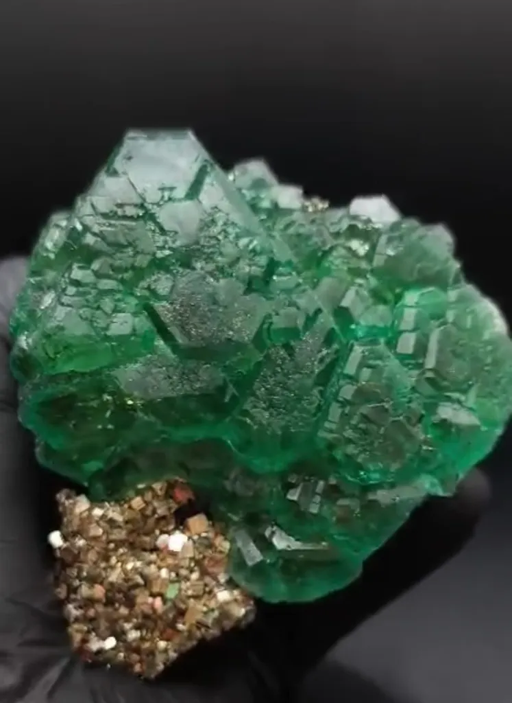 Fluorite on pyrite image