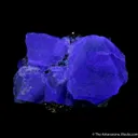 Fluorite on Pyrite - image 3