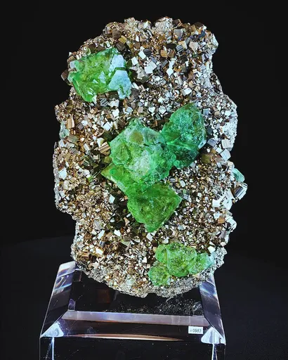 specimen video