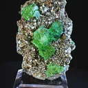 specimen video