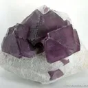 Fluorite on Quartz - image 1