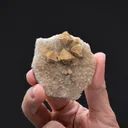 Fluorite on Quartz - image 2