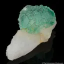 Fluorite on Quartz - image 2
