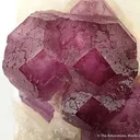 Fluorite on Quartz - image 2