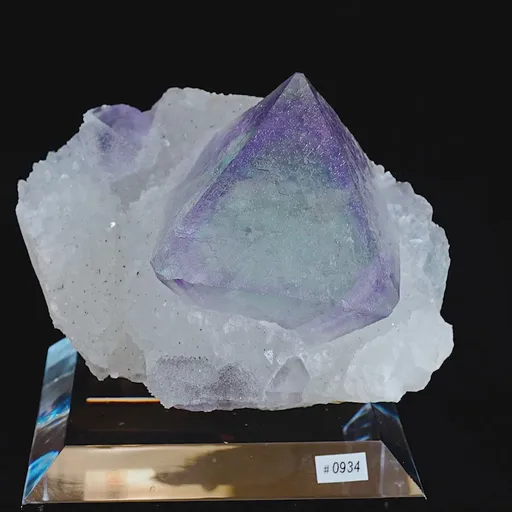 specimen video