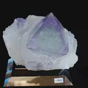 specimen video