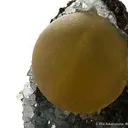 Fluorite on Quartz - image 2