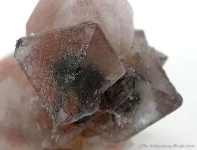 Fluorite on Quartz - image 2