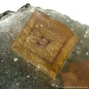 Fluorite on Quartz - image 2