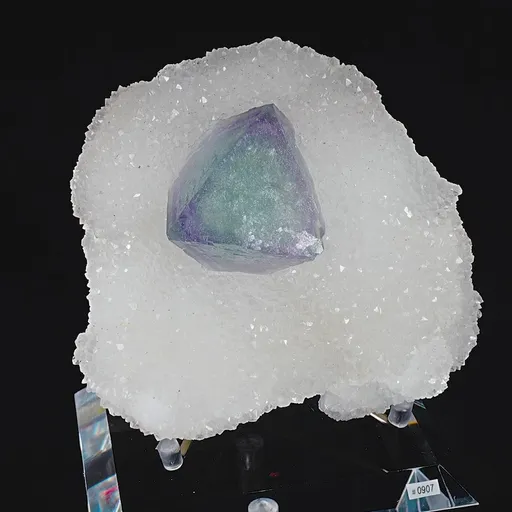 specimen video
