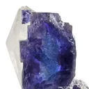 Fluorite on Quartz - image 3