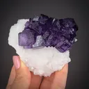Fluorite on Quartz - image 1