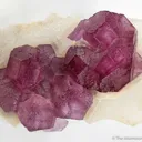 Fluorite on Quartz - image 1