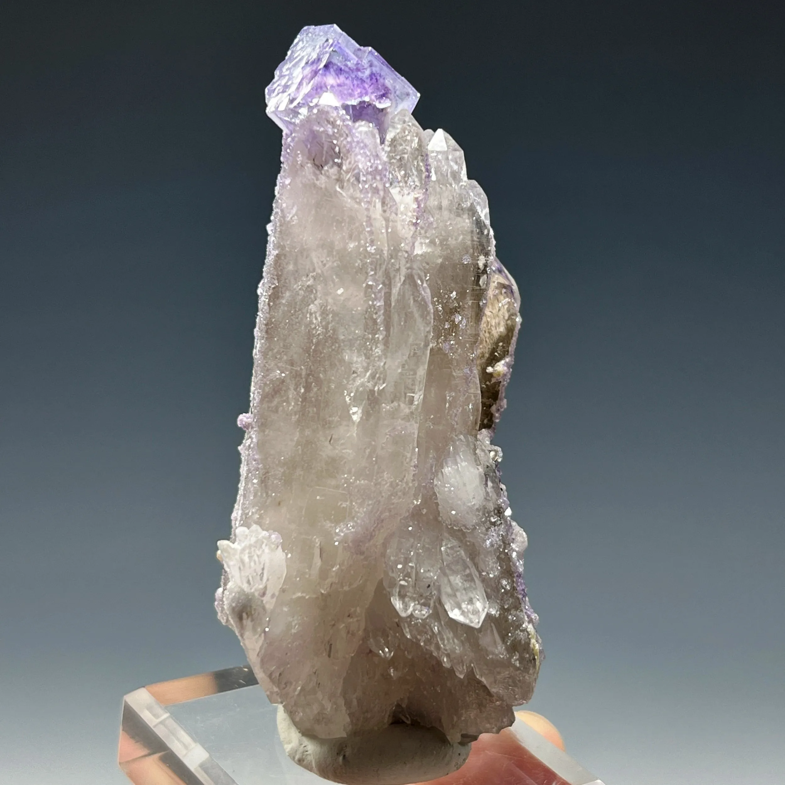 Fluorite on Quartz - image 3