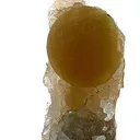 Fluorite on Quartz - image 1