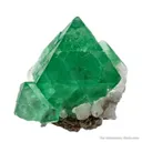 Fluorite on Quartz - image 2
