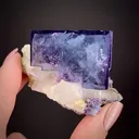 Fluorite on Quartz - image 2